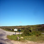DSCN6587