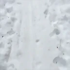 Video Hugo IG Stories 1-2-2017 (4)