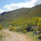 DSCN3980