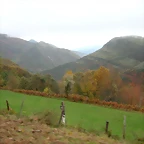 DSCN5984