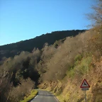 DSCN2411