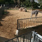 Zoo de Barcelona 27-11-2010 077