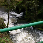 DSCN5757
