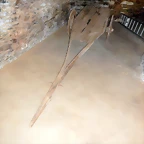 DSCN0354