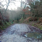 DSCN7196