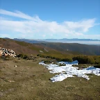 DSCN6797