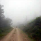 DSCN5445