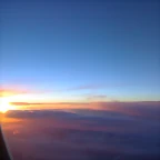 25032008296