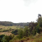 DSCN7017