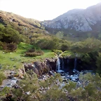 DSCN1454