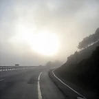 DSCN8501