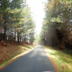 DSCN5362