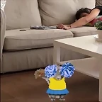 Video Mar?a IG Stories 5-6-2018 (1)