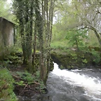 DSCN4176