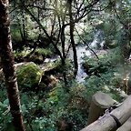 DSCN8471