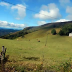 DSCN4474
