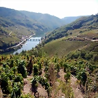 DSCN0477