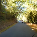 DSCN0920