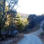 DSCN8906