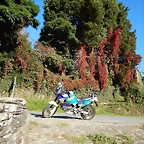 DSCN9347