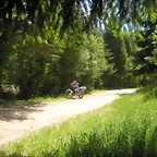 DSCN5361