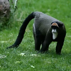 Zoo de Barcelona 14-04-11 133