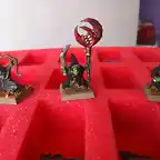 mas goblins