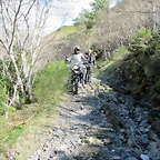 IMG_0199
