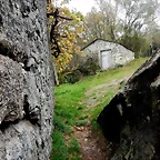 DSCN1286