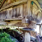 DSCN4379
