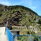 DSCN1468