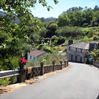 DSCN6728