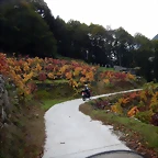 DSCN9830