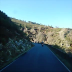 DSCN1535