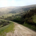 DSCN8146