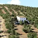 cortijo de peluso