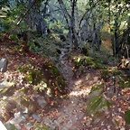 DSCN8003