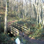 DSCN2074