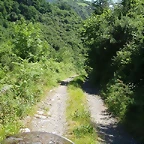 sakanagohierri2 (8)