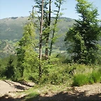 sakanagohierri2 (6)