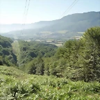 sakanaoff (7)
