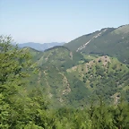 sakanagohierri2 (5)