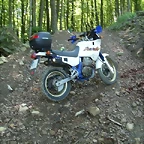 sakanagohierri2 (10)