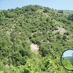 sakanagohierri2 (7)