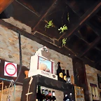 DSCN1377