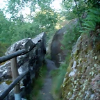 P1010224