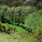 22-IMG_6371
