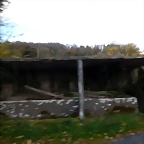 DSCN0631