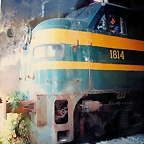 002-IMG_3256