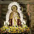 02, la virgen preparada, marca